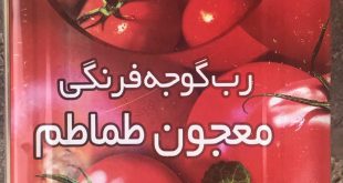 بسته بندی رب گوجه حلبی